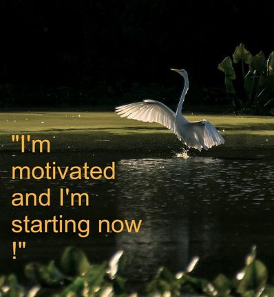 Swan & Spiritual Affirmation: 