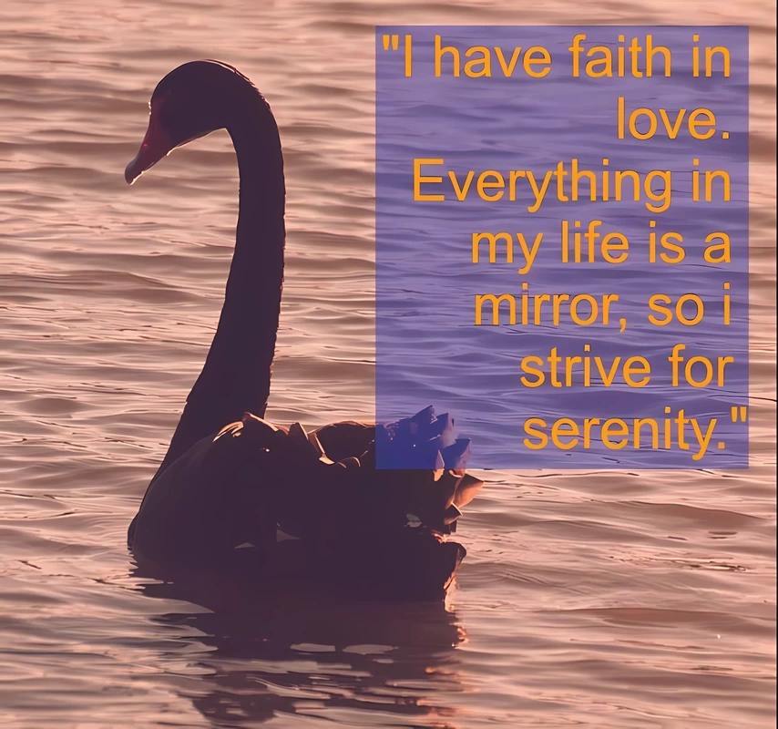 Swan swimming in Lake and Spiritual Affirmation: 